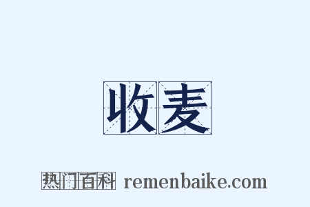 收麦是什么意思的图片